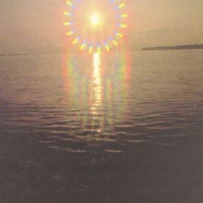 Digital Cucumber Are Na