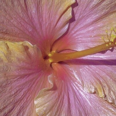 Mia Van Leuven Are.na