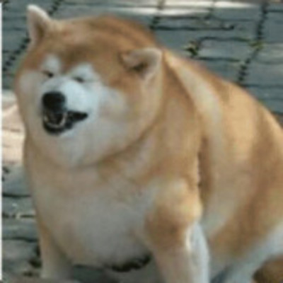 Alyssa Vega | Are.na